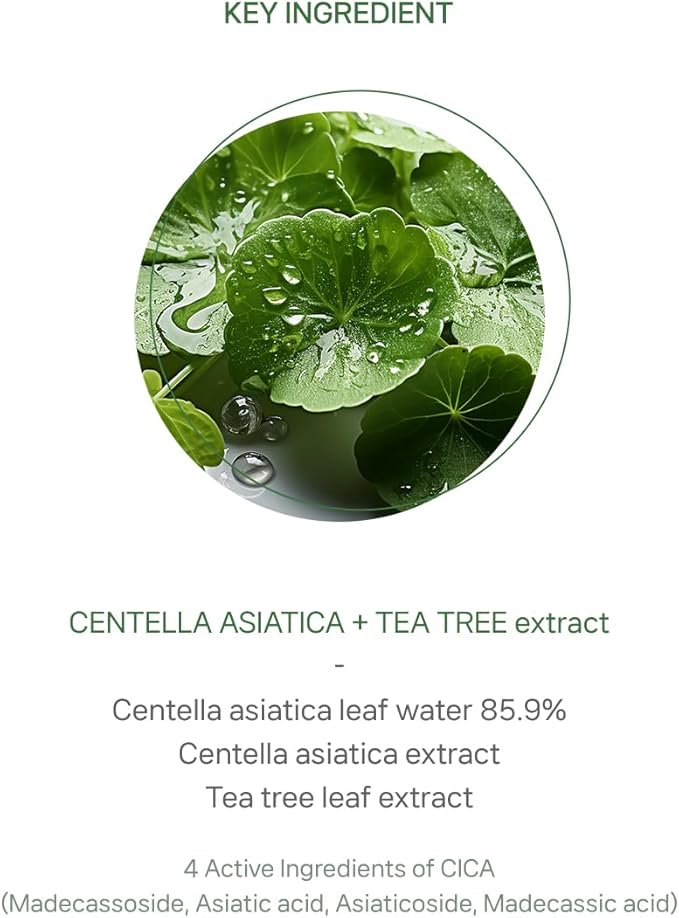 The Plant Base CICA Distillate Toner 195ml | CICA (Centella Asiatica Leaf Water) 85% Facial Pore Calming & Soothing Cooling Toner | 100% Plant Distillate | Korean Skincare, K Beauty, Korean Beauty