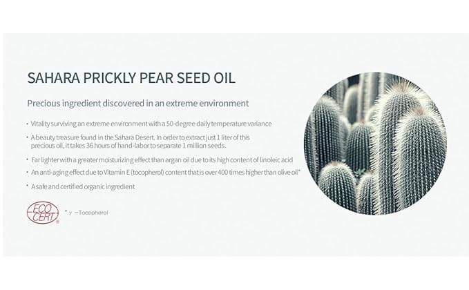 Huxley Secret of Sahara Anti-Gravity Cream, Anti-Aging Hydrating Face Moisturizer, K-Beauty, Organic Prickly Pear Seed Oil and Cactus Extract, Vitamin E, Non-Sticky Balm-Cream | 50 mL / 1.69 fl. oz.