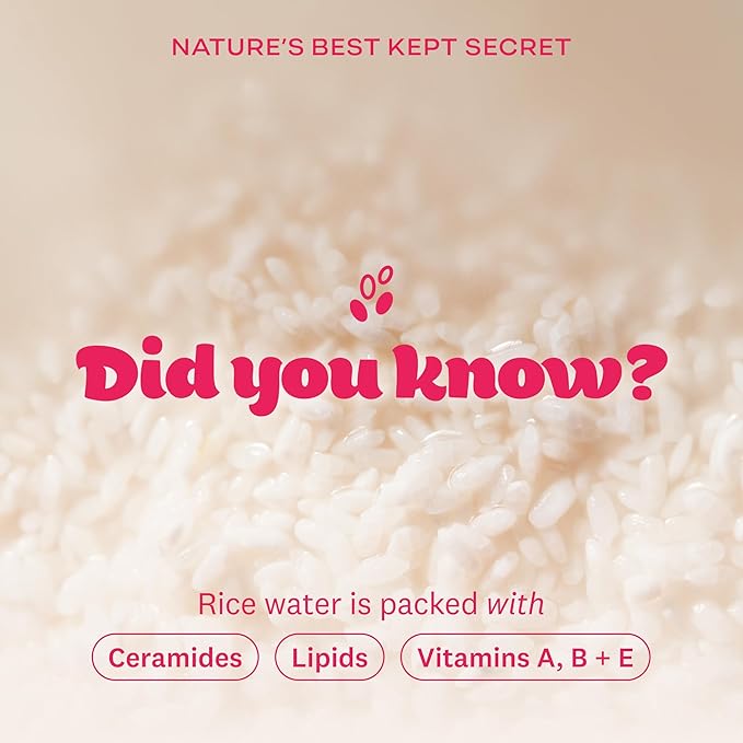 The Face Shop Rice Water Bright Makeup Remover Wipes for Face with Rice Extract, Brightening, Moisturizing, Infused with Cleansing Milk, Vegan Disposable Cleansing Facial Wipes, Korean Skin Care