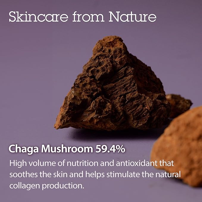 BLITHE Pressed Serum Tundra Chaga | Korean Moisturizer | Anti Aging Cream & Skin Tightening Cream for Face | Formula for an Instant Face Lift, 1.68 fl oz