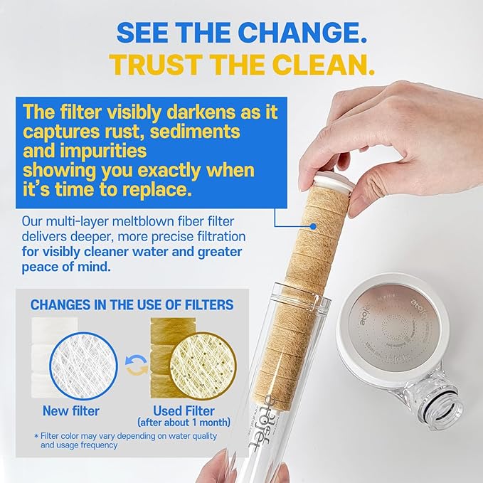 Filter Shower For K-Beauty Skin Care– Pure Carbon Filters for Softer Skin & Smoother Hair | Carbon Composite Filter l 6 Month Advanced Filtration Set (AJ8200MC-SET-6MO)