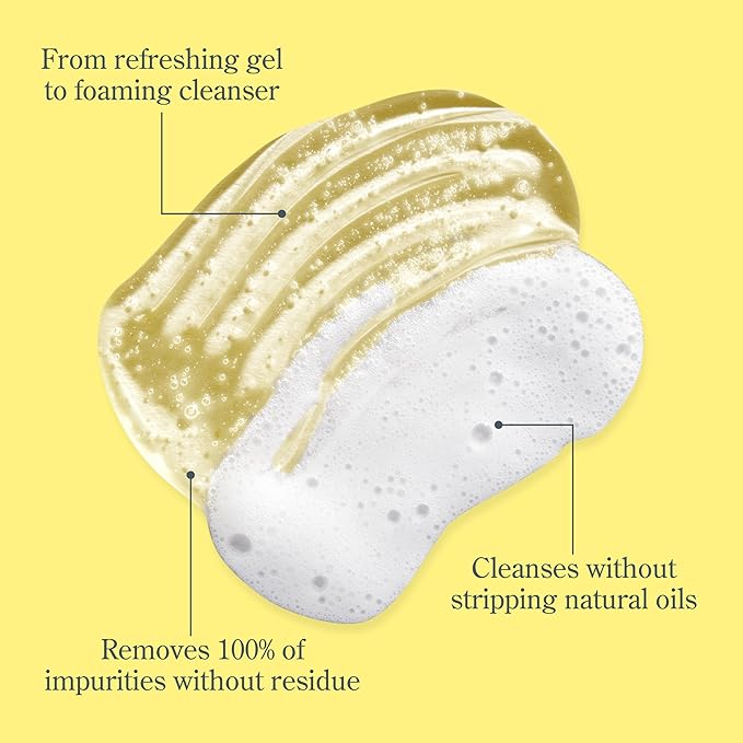 Beekman 1802 Micellar Milk Froth Face Wash – Hydrating Gel to Foam Facial Cleanser & Makeup Remover with Goat Milk & Golden Sea Moss, Gentle Foaming Face Wash for Sensitive Skin, 5 Fl Oz